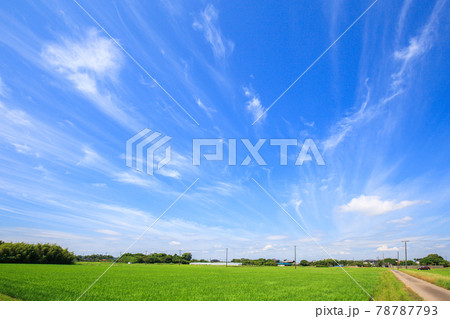 長生村の夏の風景 78787793