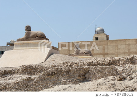 アレクサンドリア アレクサンドリア 78788015