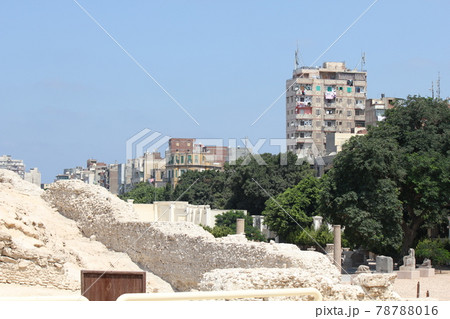 アレクサンドリア 78788016