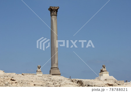 アレクサンドリア アレクサンドリア 78788021