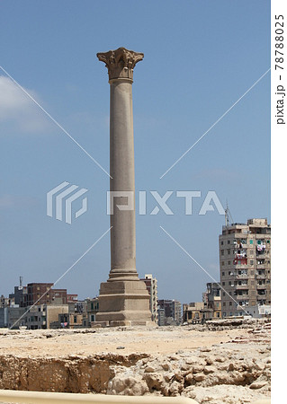 アレクサンドリア 78788025