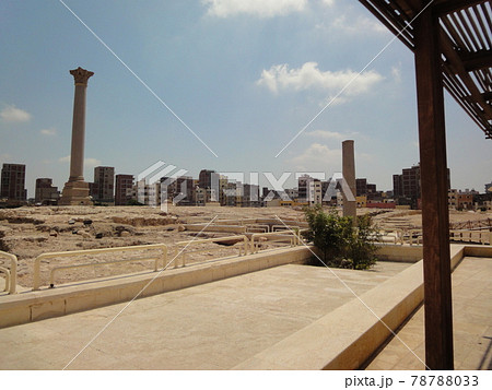 アレクサンドリア アレクサンドリア 78788033