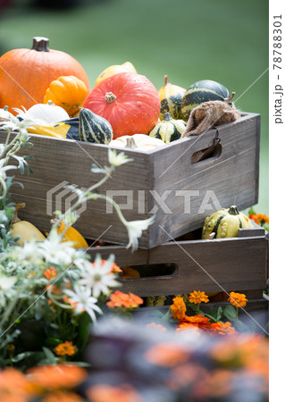 ハロウィーンのイメージ野菜 78788301