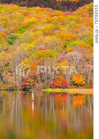 戸隠・鏡池（秋） 78788555