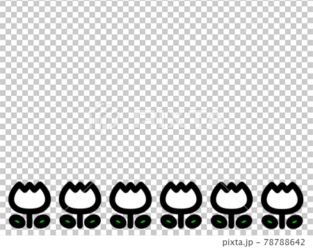 白のチューリップのフレームイラスト素材 78788642