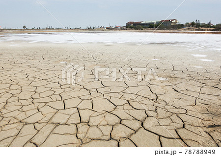dry fish farm 78788949