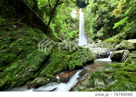 虚空蔵の滝(黒蔵の滝) 【和歌山県有田郡有田川町】 虚空蔵の滝(黒蔵の滝) 【和歌山県有田郡有田川町】 78789086