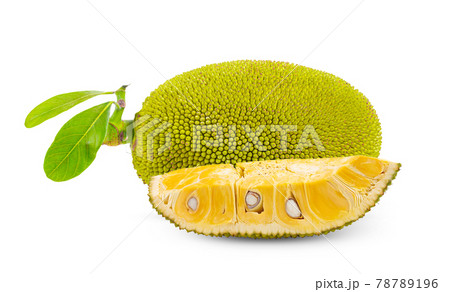 jack fruits on white background. full depth of field jack fruits on white background. full depth of field 78789196
