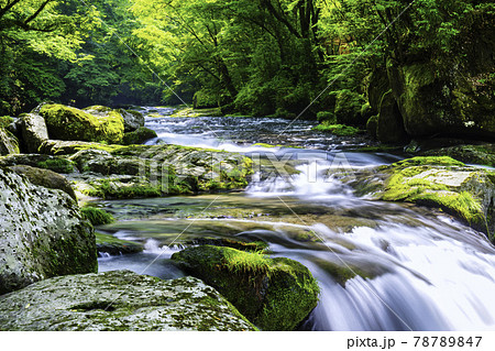 綺麗な水に癒やされる菊池渓谷 熊本県菊池市 の写真素材