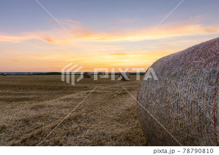 Straw bales stacked in a field at summer time, Reims 78790810
