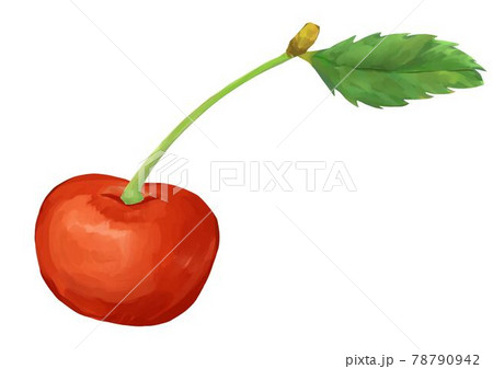 さくらんぼ 葉付き 1個 イラストのイラスト素材 さくらんぼ 葉付き 1個 イラストのイラスト素材