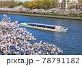 毛馬桜之宮公園 78791182