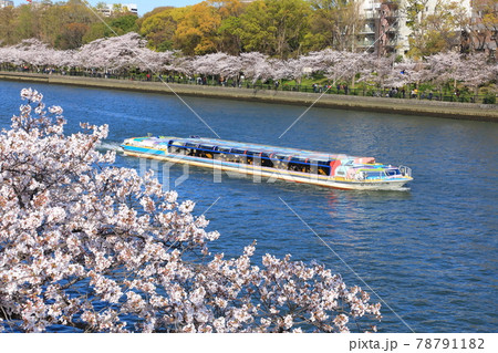 毛馬桜之宮公園 78791182
