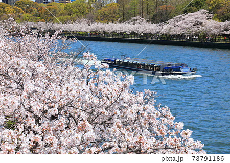 毛馬桜之宮公園 78791186