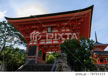 夏の早朝の清水寺 78791525