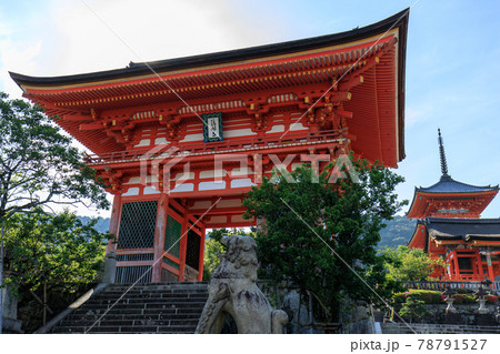 夏の早朝の清水寺 78791527