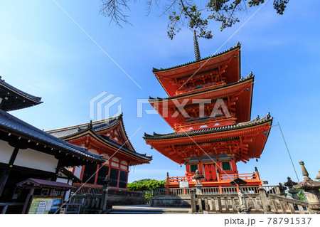 夏の早朝の清水寺 78791537