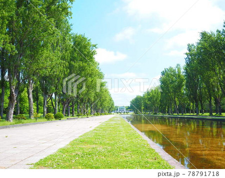 北海道の風景 前田森林公園の美しいカナール 78791718