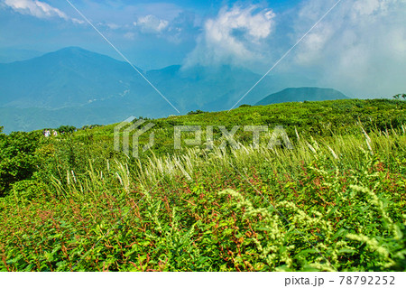 伊吹山 伊吹山 78792252