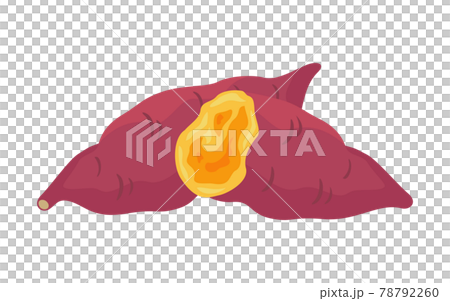 看起來很好吃的紅薯插畫 78792260