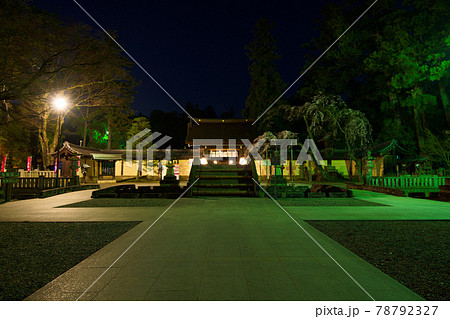 彦根　多賀大社の桜2021年 78792327