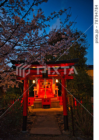 京都　神泉苑の桜2021年 78794784