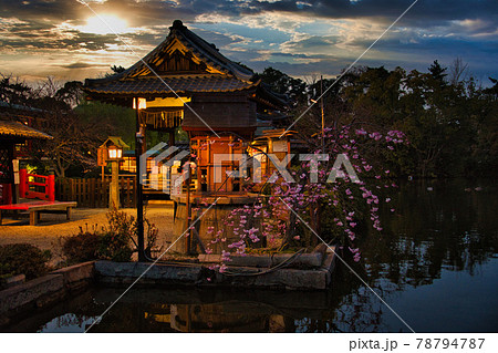 京都　神泉苑の桜2021年 78794787