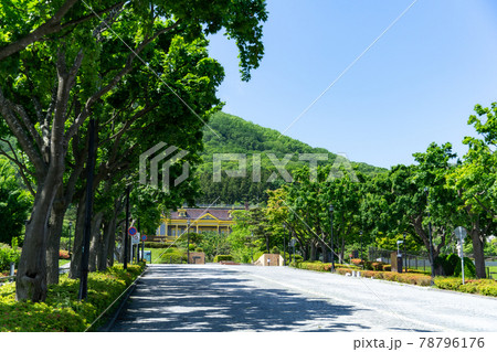 基坂と旧函館区公会堂 基坂と旧函館区公会堂 78796176