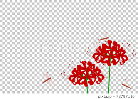 秋の空と彼岸花とトンボの背景イラスト 秋の空と彼岸花とトンボの背景イラスト 78797116