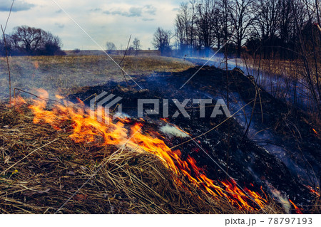 Let's say stop burning dry grass, it is dangerous 78797193