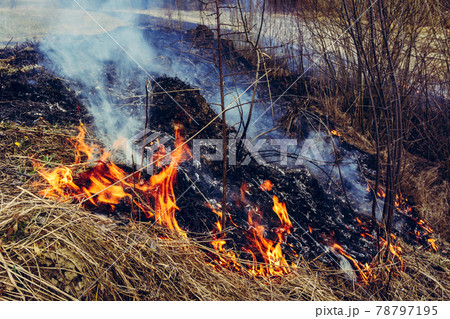 Let's say stop burning dry grass, it is dangerous Let's say stop burning dry grass, it is dangerous 78797195