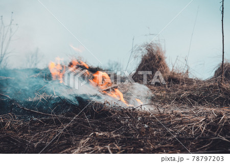 The grass is burning, the fire of which destroys everything in its path The grass is burning, the fire of which destroys everything in its path 78797203