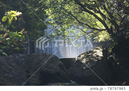 奥間川 沖縄の川 川 自然 マイナスイオン 奥間 奥間川 沖縄の川 川 自然 マイナスイオン 奥間 78797965