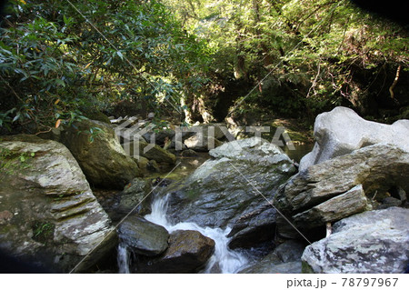 奥間川　沖縄の川　川　自然　マイナスイオン　奥間 78797967