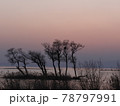 琵琶湖夕景　滋賀県長浜市 78797991