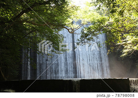 奥間川　沖縄の川　川　自然　マイナスイオン　奥間 78798008