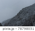冬山 78798031