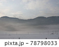 朝霧 78798033