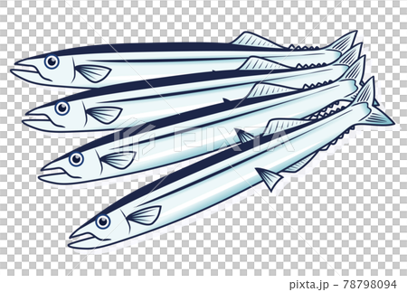秋刀魚のイラスト 78798094