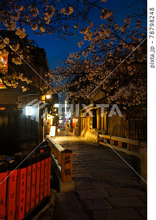 祇園白川巽橋の夜桜2021春 祇園白川巽橋の夜桜2021春 78798248