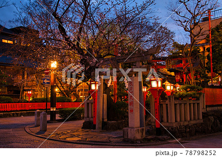 祇園白川の夜桜2021春 祇園白川の夜桜2021春 78798252