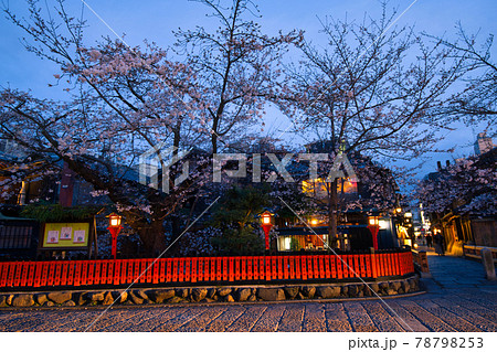 祇園白川の夜桜2021春 祇園白川の夜桜2021春 78798253