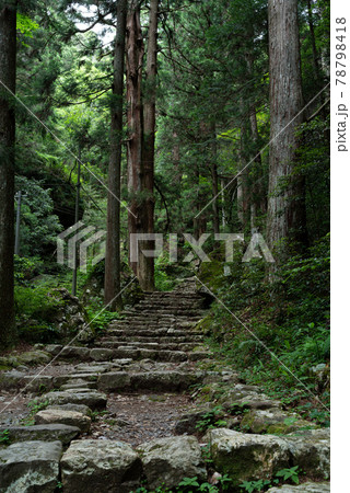 歴史ある参道　鳳来寺山 78798418