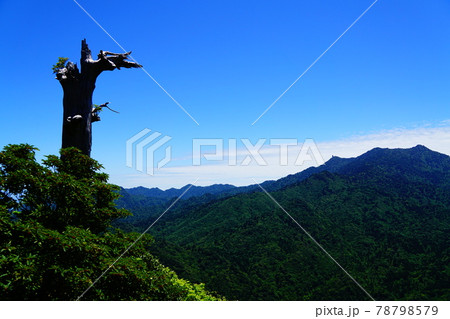 屋久島　太鼓岩から見る太忠岳方面の眺め 78798579