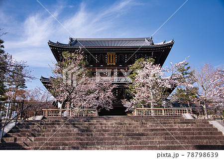 金戒光明寺と桜　2021春 78798639