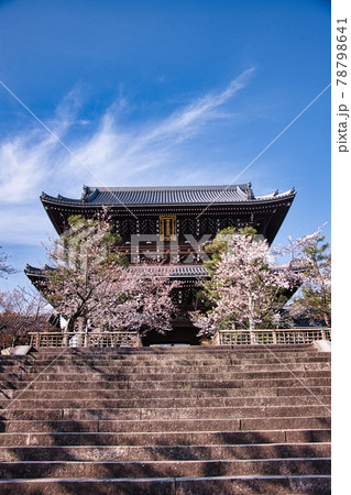 金戒光明寺と桜 2021春 金戒光明寺と桜 2021春 78798641