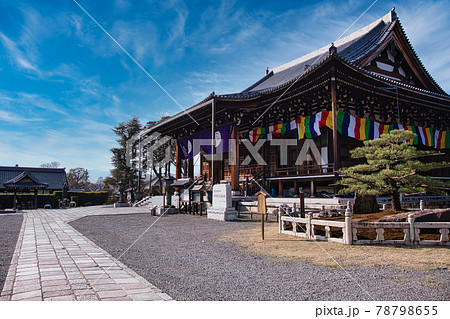 金戒光明寺と桜　2021春 78798655