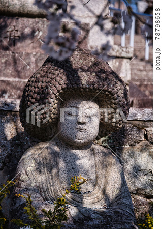 金戒光明寺　アフロ仏像 78798658