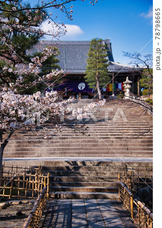 金戒光明寺と桜　2021春 78798665