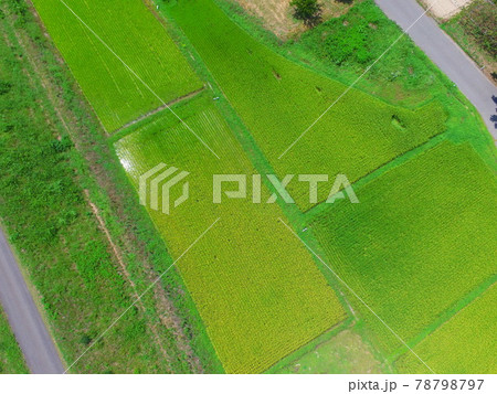 田園・道路〜ドローンで空撮（福島県大沼郡会津美里町大石字家ノ下） 78798797